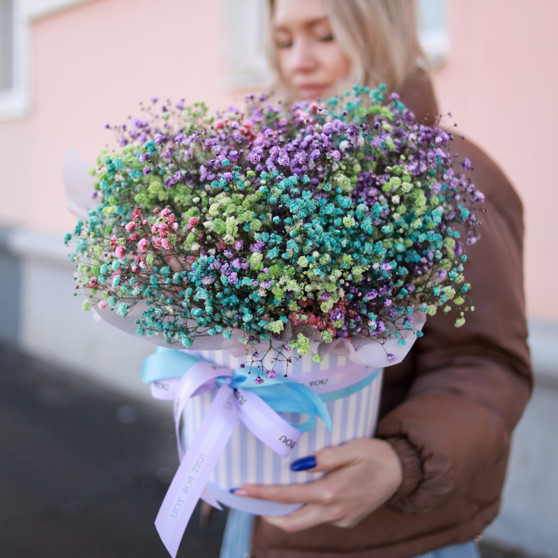 Gipsofila v shlyapnoj korobochke, standart