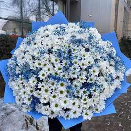 "Голубая лагуна"