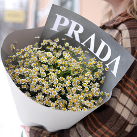 "Стильные ромашки"