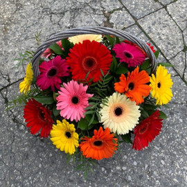 17 гербер в корзине