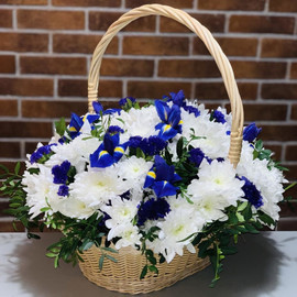 "Северное сияние"