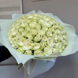 101 роза в оформлении