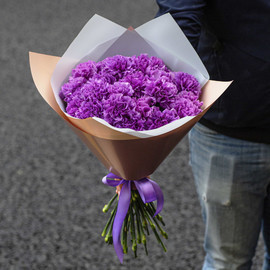 Mono iz fioletovih gvozdik