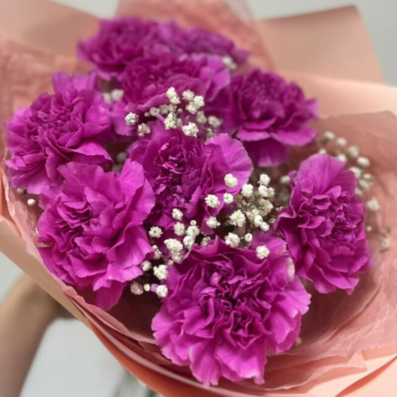 9 розовых диантусов, 9 диантусов