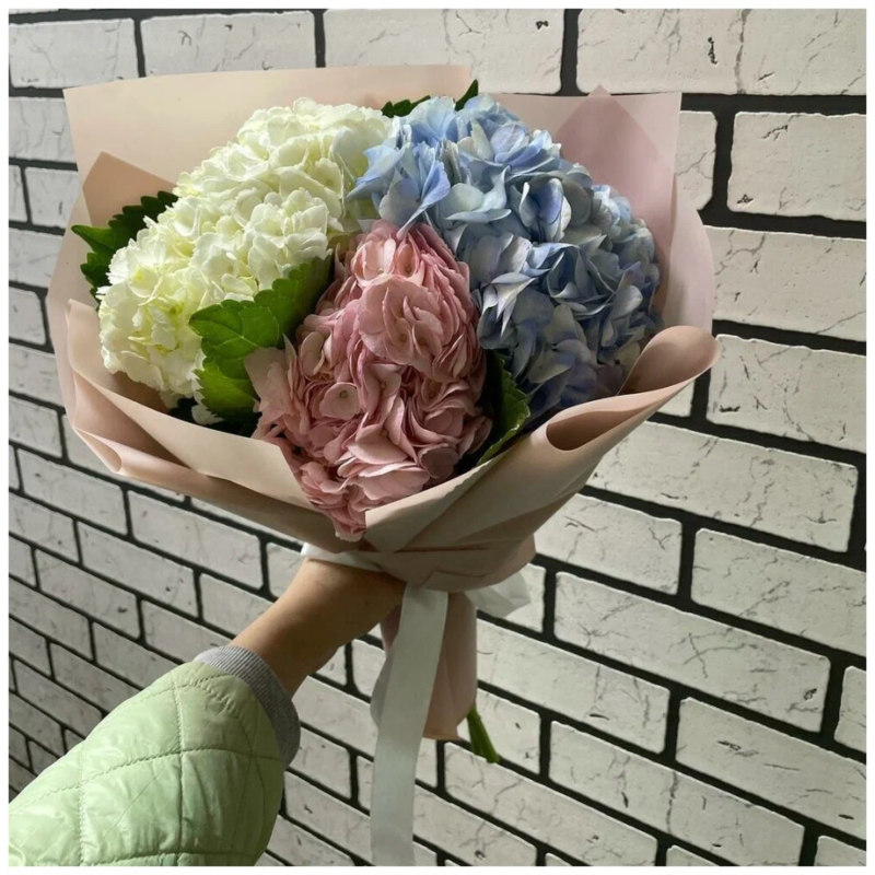 Букет из гортензий 3 шт, букет из гортензий 3 шт