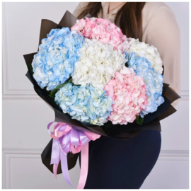 Buket iz 7 gortenziya miks