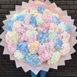 Buket iz iz krupnih gortenzij 49 shtuk, nezhnij miks