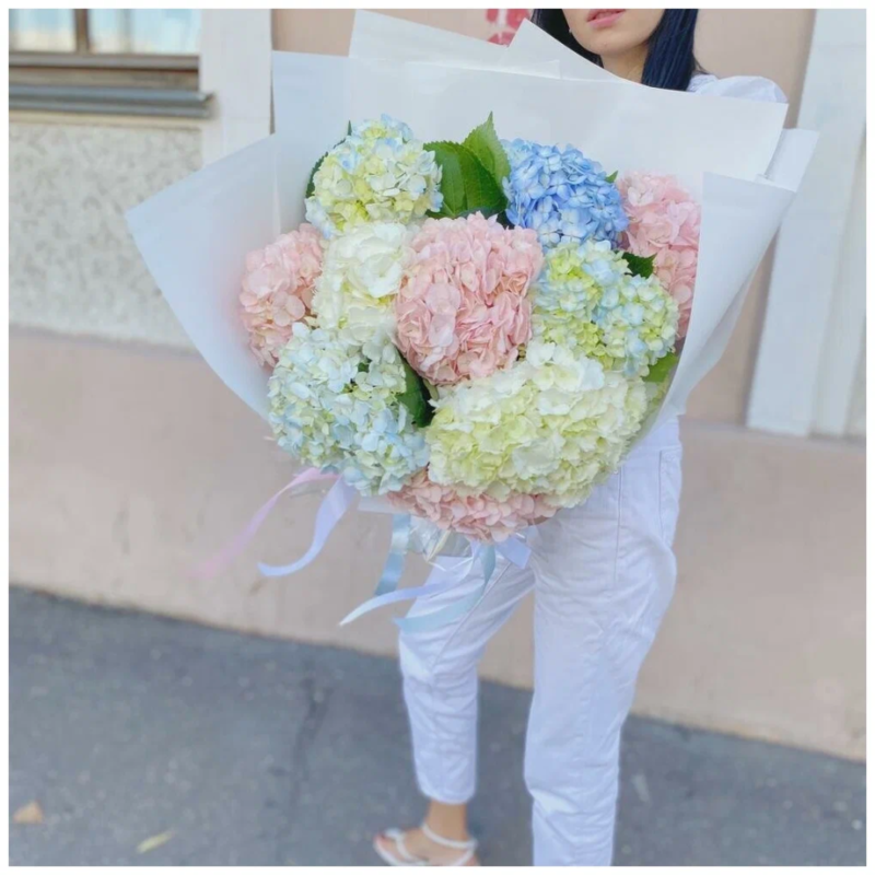 Buket Roskoshnie Gortenzii 11 sht, standart