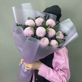 Momoko single-headed chrysanthemum 9 pieces 