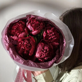 Buket s bordovimi pionami