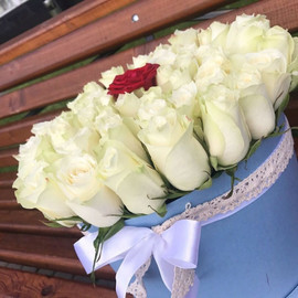 51 роза в коробке