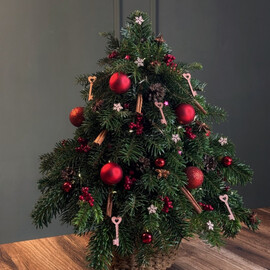 Kompozitciya «Novogodnyaya yolochka»