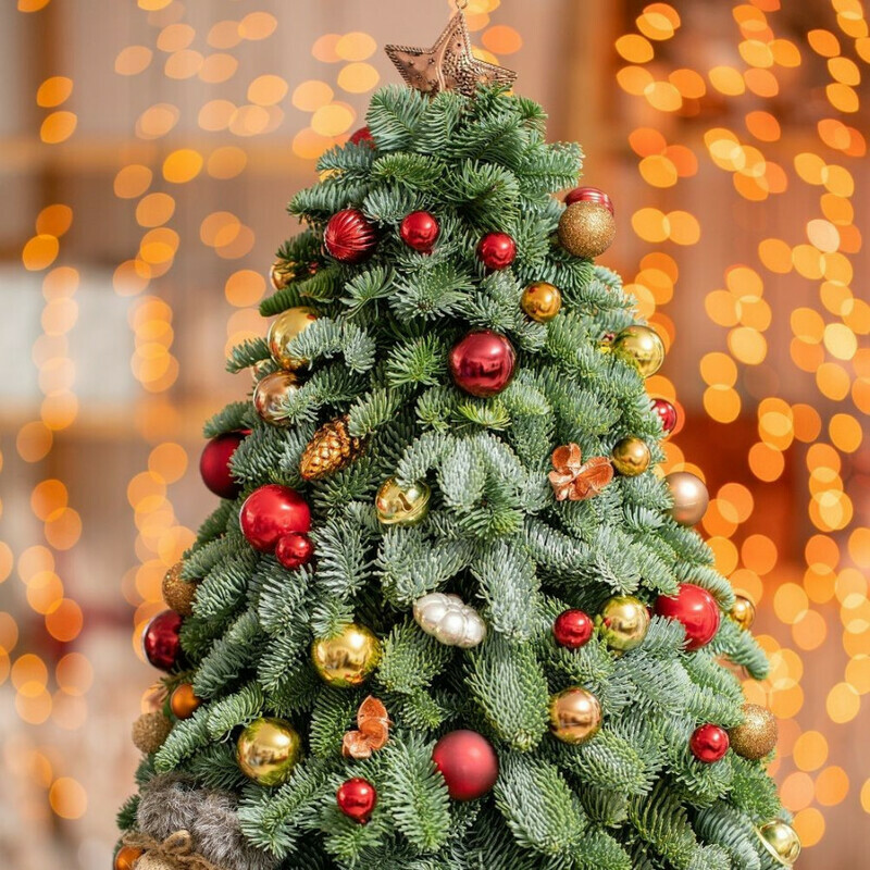 Novogodnyaya el_#2, standart