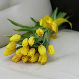 Tyul_pan zheltij 15sht