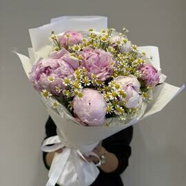 Bouquet of peonies by Sarah Bernhardt and chamomile (tanacetum)