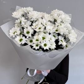 Букет белая хризантема ромашка. 7 шт