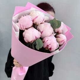 Buket rozovij pion Sara Bernar. 7 sht