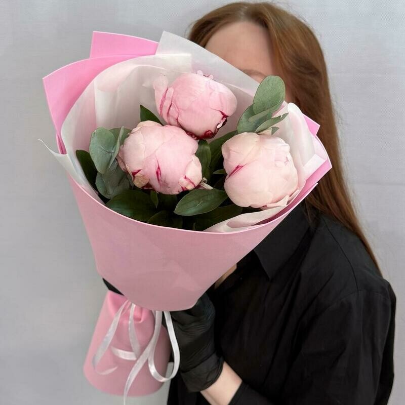 Buket rozovij pion Sara Bernar. 3 sht, standart