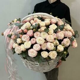 Korzina 51 kustovaya pionovidnaya roza s evkaliptom