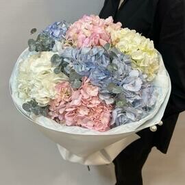 Букет из 7 гортензий