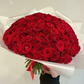 Buket iz 101 krasnoj rozi