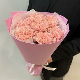 Букет из 7 розовых диантусов 