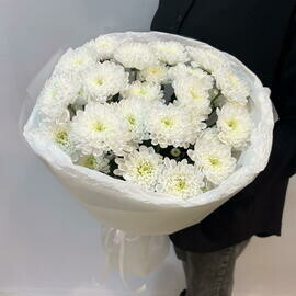 Букет из 5 кустовых хризантем