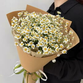 Букет из 7 кустовых ромашек (танацетум)