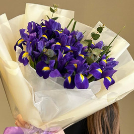 15 ирисов в упаковке