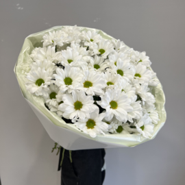 Buket "7 kustovih hrizantem v stil_nom oformlenii"