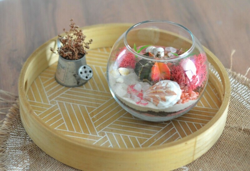 Флорариум яркость, стандартный