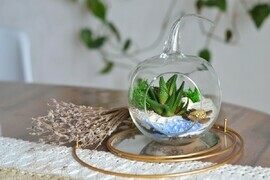 Флорариум с черепашкой