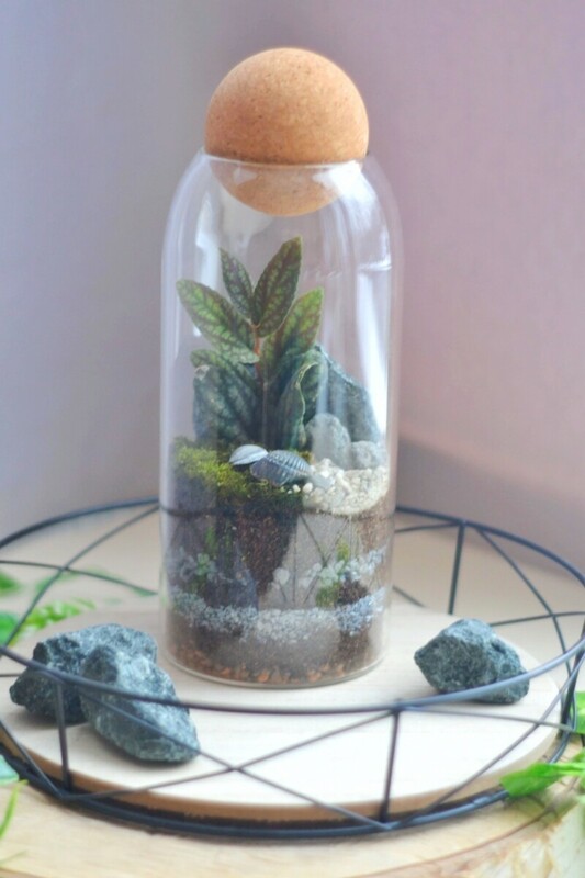 Экосистема средняя , стандартный