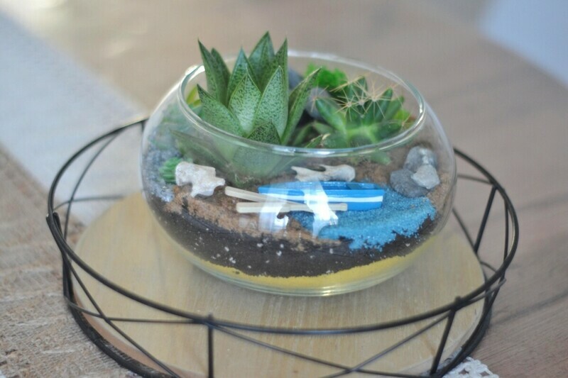 Флорариум лодка , стандартный