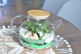 Экосистема чайник