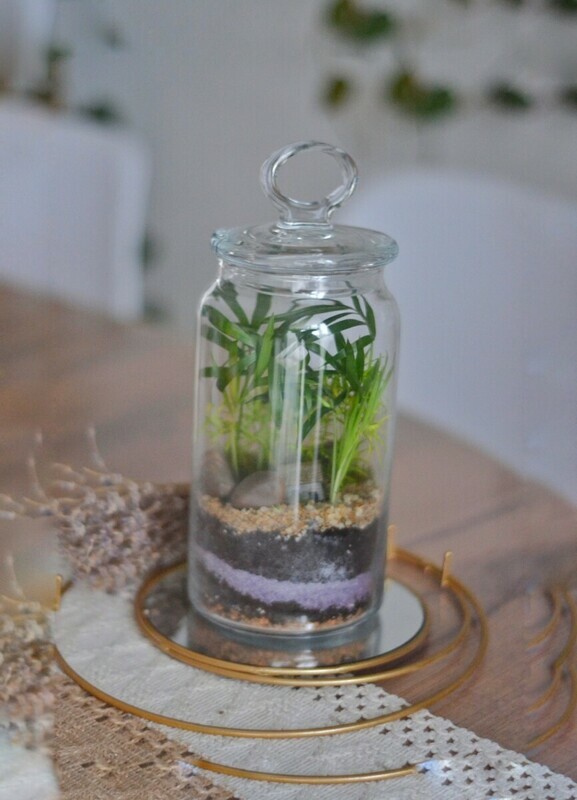 Экосистема дом, стандартный