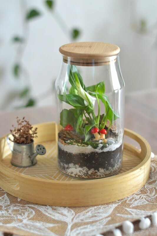 Экосистема , стандартный