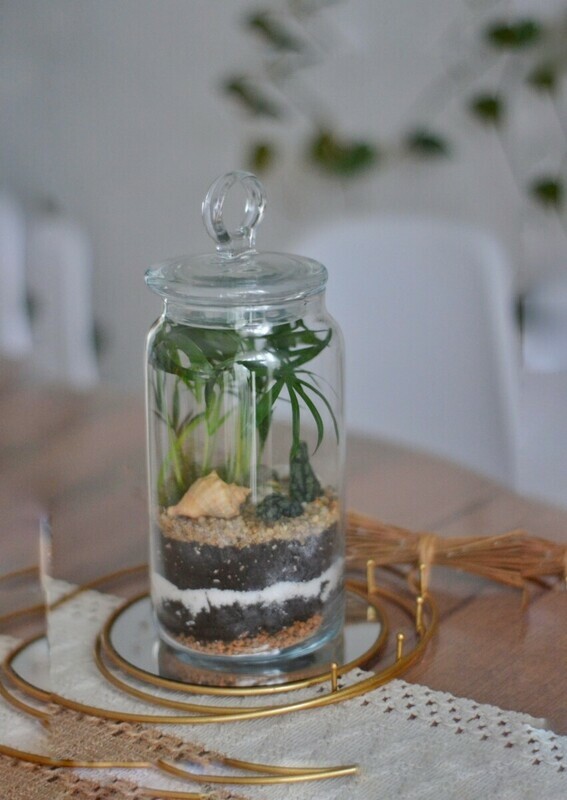 Экосистема, стандартный