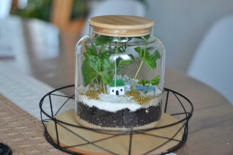 Экосистема город , стандартный