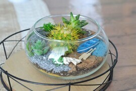 Флорариум лодка 