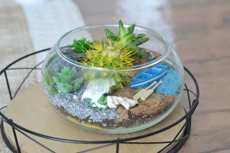 Флорариум лодка , стандартный