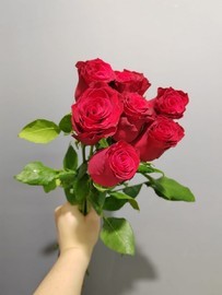 Букет из 7 Красных роз