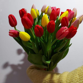 Букет из 31 тюльпана