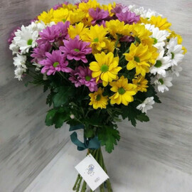 Букет из 13 Кустовых хризантем микс