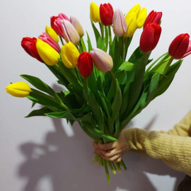 Букет из 23 тюльпанов