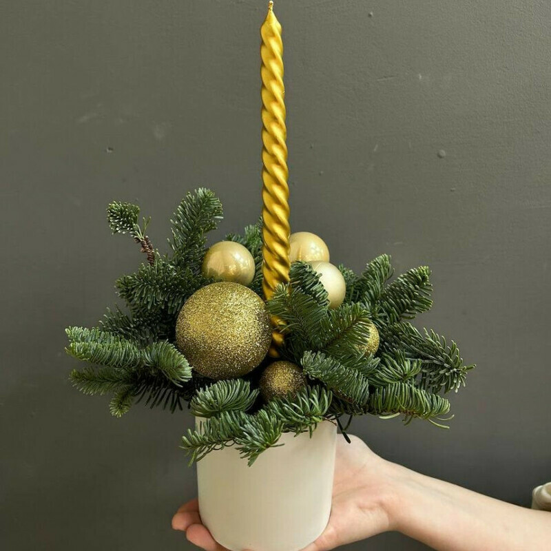 Золотой луч, стандартный