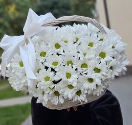 Nezhnaya korzina s romashkovimi hrizantemami