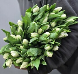 45 белых тюльпанов