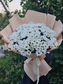 Buket iz romashkovih hrizantem