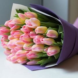25 розовых тюльпан 